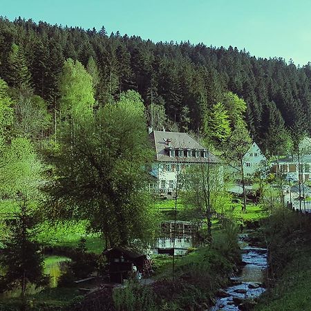 פרוידנשטאדט Gut Lauterbad Hotel מראה חיצוני תמונה