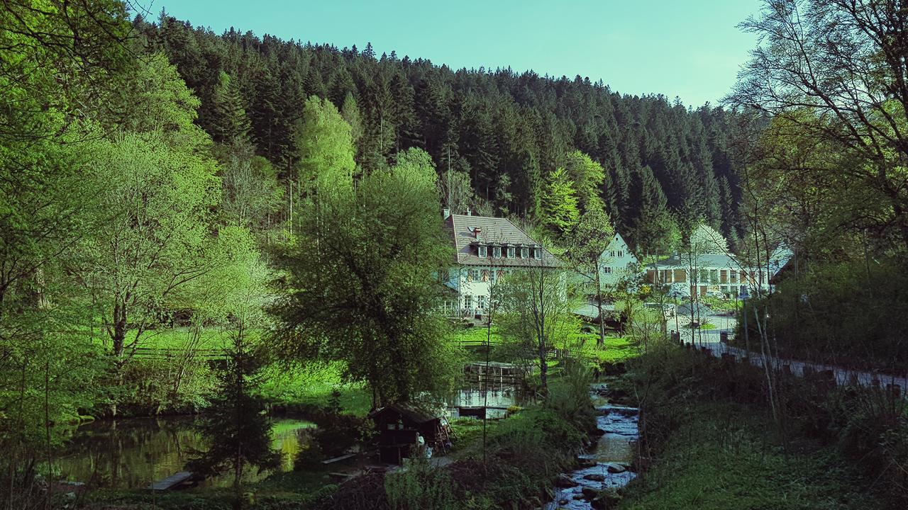 פרוידנשטאדט Gut Lauterbad Hotel מראה חיצוני תמונה